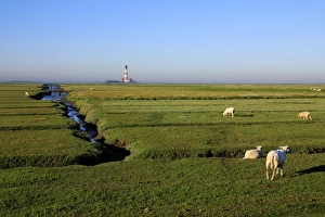 Ovis Aries Prints: Lighthouse in the Wadden Sea National Park, Westerhever, Schleswig-Holstein, Germany