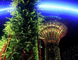 Spectacle Prints: Lightshow, The Gardens by the Bay, Singapore