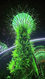 Spectacle Prints: Lightshow, The Gardens by the Bay, Singapore