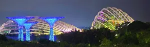Spectacle Prints: Lightshow, The Gardens by the Bay, Singapore