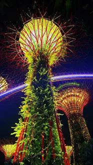 Spectacle Prints: Lightshow, The Gardens by the Bay, Singapore