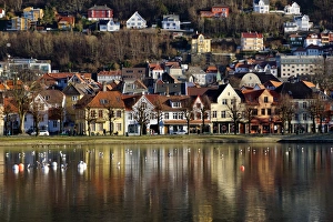 Bergen Prints: Lille Lungegard lake, Bergen, Norway, Scandinavia, Europe
