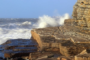 Splendor Prints: Limestone cliffs, Dunraven Bay