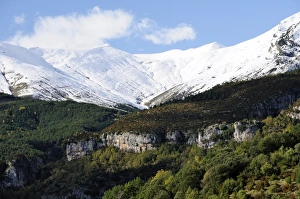 Images Dated 6th November 2008: Limestone escarpments above Escuain gorge with snow covered high Pyrenees peaks in the background
