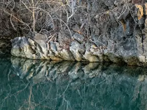 Branch Prints: Limestone formations reflected in brackish lagoon water near Anjajavy Private Reserve in Madagascar reveal nature's