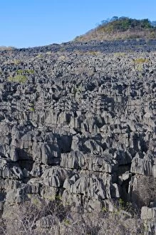 Limestone formations (Tsingys), Ankarana National Park, Madagascar, Africa