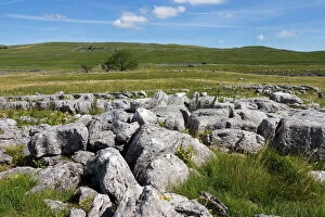Images Dated 1st January 2000: Limestone pavement at Lea Green, Grassington, Yorkshire Dales National Park