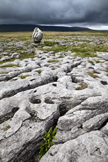 L Imestone Prints: Limestone Pavement and Standing Stone