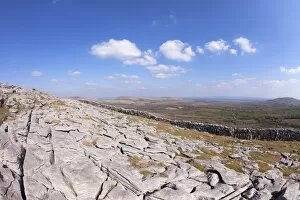Images Dated 15th April 2010: Limestone pavements, Burren, County Clare, Munster, Republic of Ireland, Europe
