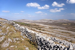 Images Dated 15th April 2010: Limestone pavements, Burren, County Clare, Munster, Republic of Ireland, Europe