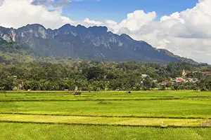 Toraja Prints: Limestone peaks including 1231m Gunung Buntu Sarira and rice paddies in the River Sadang valley