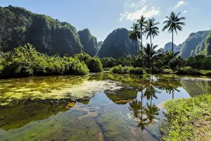 South Sulawesi Prints: Limestone peaks and palms reflected on fish pond in karst region, Rammang-Rammang, Maros