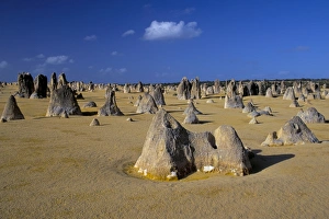 Nambung Prints: Limestone pillars in the Pinnacles Desert, Nambung National Park, Western Australia
