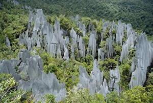 L Imestone Prints: Limestone pinnacles on Mount Api