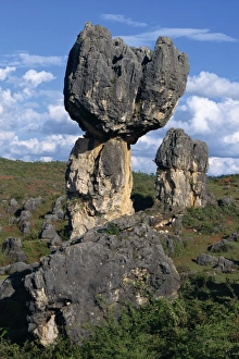 Limestone pinnacles in Shilin, Stone Forest, in Lunan, Yunnan Province, China, Asia