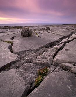 County Clare Prints: Limestone plateau at sunset