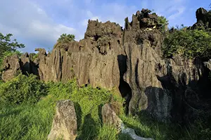 Limestone rock eroded and dissolved by water in karst region, Rammang-Rammang, Maros