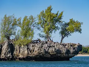 Madagascar Prints: Limestone stacks with arches and caves showing vegetation near Madagascar coast