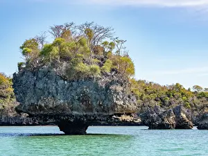 Parks Prints: Limestone stacks tower over water with vegetation present near the coast of Madagascar