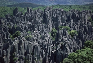 Limestone Stone Forest, near Kunming, Yunnan province, China, Asia