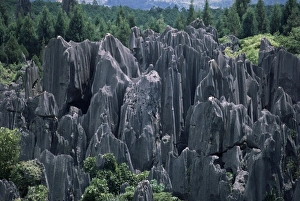 Pinnacle Prints: Limestone Stone Forest, near Kunming, Yunnan province, China, Asia