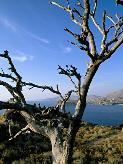 Aegean Prints: Limnos, Aegean Islands