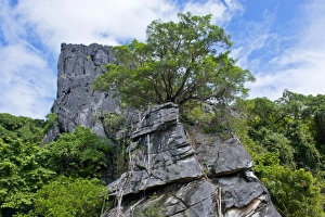 The Linderalique rocks in Hienghene at the east coast of Grande Terre, New Caledonia, Melanesia, South Pacific, Pacific The Linderalique rocks in Hienghene at the east coast of Grande Terre, New Caledonia, Melanesia, South Pacific, Pacific