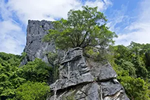 L Imestone Prints: The Linderalique rocks in Hienghene at the east coast of Grande Terre