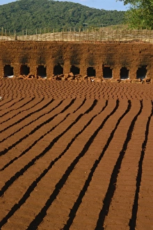 Orissa Prints: Lines of bricks drying in the sun, ready for firing, Orissa state, India, Asia