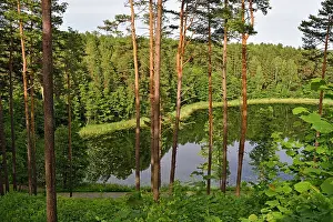 Grove Prints: Linkmenas lake seen from the Ginuciai mound where the famous Linknenys castle stood during the 13th to 15th centuries