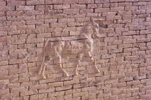 Achaemenid Prints: Lion brick relief