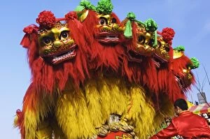 Lion Dance, Chines e New Year, s pring Fes tival, Beijing, China, As ia