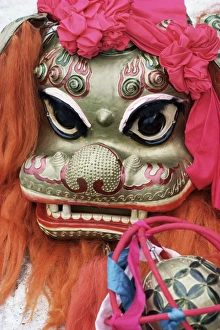 Disguise Prints: Lion mask, festival