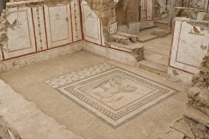 10th Century Prints: Lion mosaic, murals and frescoes in a Terrace House