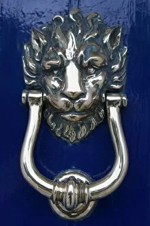 Images Dated 13th September 2006: Lion polished brass door knocker, Georgian house, Merrion Square, Dublin