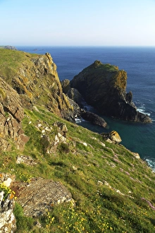Lion Rock, Kynance Cove, The Lizard, Cornwall, England, United Kingdom, Europe