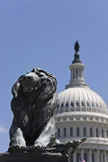 Capitol Building Prints: Lion Statue in front of the dome of the U. S. Capitol Building, Washington D