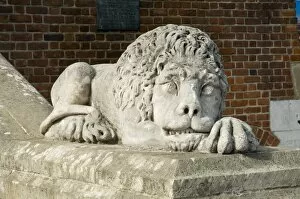 Images Dated 12th January 2000: Lions at base of Town Hall tower in Main Market Square