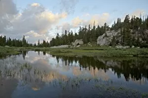 Litte Bear Creek at s unris e, s hos hone National Fores t, Montana, United s tates of America
