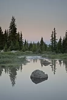 Images Dated 24th July 2008: Little Bear Creek at dawn, Shoshone National Forest, Montana, United States of America