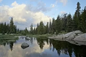 Images Dated 23rd July 2008: Little Bear Creek at sunrise, Shoshone National Forest, Montana, United States of America