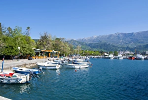 Budva Prints: Little boats in the harbour of the old town of Budva, Montenegro, Europe