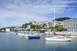 Wellington Prints: Little boats in the harbour of Wellington, North Island, New Zealand, Pacific