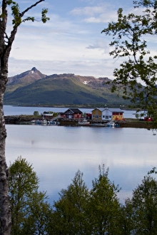 Little harbour in a fjord close to Sortland village, Langoya island, Vesteralen archipelago Little harbour in a fjord close to Sortland village, Langoya island, Vesteralen archipelago