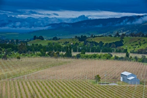 Images Dated 27th October 2008: Little house in a agricultural field in Western Tasmania, Australia, Pacific