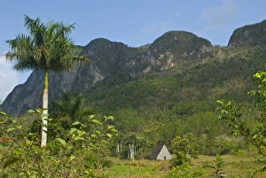 Vinales Prints: A little hut in the countryside below rocky hills, Vinales, Cuba, West Indies