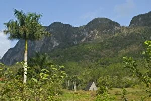 A little hut in the countryside below rocky hills, Vinales, Cuba, West Indies