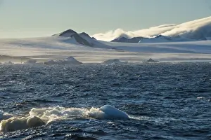 Floating On Water Prints: Little icebergs floating in front of the huge glaciers on Tabarin Peninsula, Antarctica