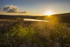 Malawi Prints: Little lake at sunset, Nyika National Park, Malawi, Africa
