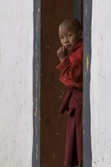 Little monk curious ly looking around the corner in the Gangte Goempa, Bhutan, As ia